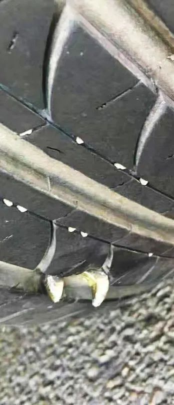 ZETA tire,puncture-resistant tires , puncture-resistant and explosion-proof tires , self-repairing tires , safety tires ZETA tire,puncture-resistant tires , puncture-resistant and explosion-proof tires , self-repairing tires , safety tires